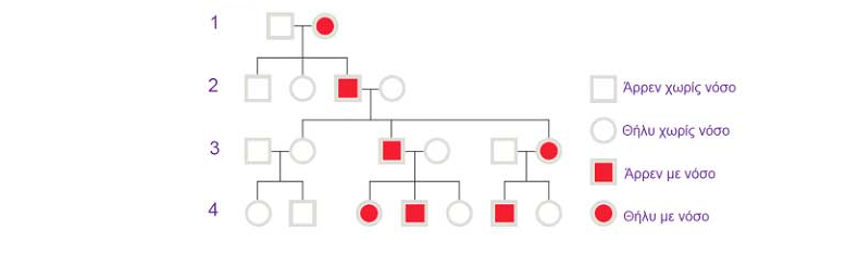 Υπερτροφική μυοκαρδιοπάθεια