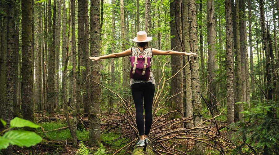 H επιστροφή στη φύση