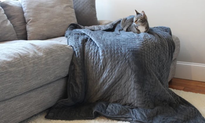 κουβέρτα βαρύτητας