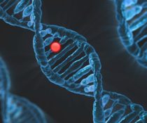 Μεταλλάξεις σε 11 γονίδια, που σχετίζονται με τον επιθετικό καρκίνο του προστάτη