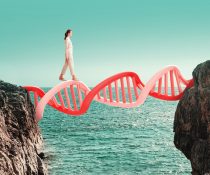 Σκλήρυνση κατά πλάκας dna