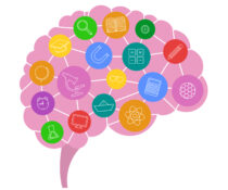 έρευνα για superagers εγκέφαλος