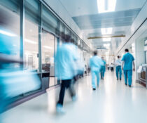 μύκητας στα νοσοκομεία: η απειλή του Candida auris