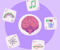 Πώς ο εγκέφαλος αποφασίζει τι θυμόμαστε